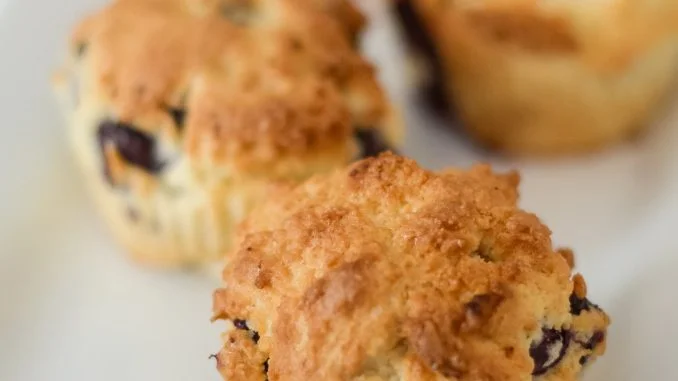 Air Fryer Blueberry Muffins - Air Fryer Fanatics