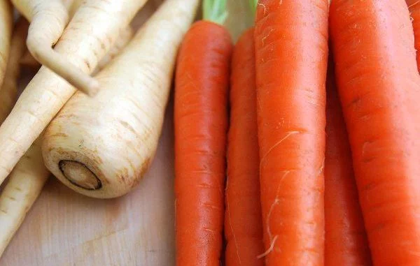The Best Garlic Roasted Air Fryer Carrots and Parsnips If you're looking for a delicious, healthy side dish, look no further than garlic roasted air fryer carrots and parsnips. This dish is easy to make and only requires a few simple ingredients. Air fryer carrots and parsnips are the perfect side dish to any meal. They're roasted to perfection with a garlic seasoning, giving them a delicious flavor. And because they're cooked in an air fryer, they're healthier than traditional roasted carrots and parsnips. So if you're looking for a delicious, healthy side dish, garlic roasted air fryer carrots and parsnips are the perfect choice. 1. Preheat the air fryer to 400 degrees F. 2. Peel and cut the carrots and parsnips into thin sticks. 3. Toss the vegetables with olive oil and garlic. 4. Spread them in a single layer in the air fryer basket. 5. Cook for 10 minutes, shaking the basket halfway through. 6. Season with salt and pepper to taste. 7. Serve immediately. Enjoy! 1. Preheat the air fryer to 400 degrees F. If you love roasted garlic, then you will love these garlic roasted air fryer carrots and parsnips. This is a quick and easy side dish that is full of flavor. The air fryer helps to roast the garlic and carrots and parsnips evenly, so you get that beautiful roasted garlic flavor in every bite. To make this dish, you will need: -1 pound of carrots, peeled and cut into 1-inch pieces -1 pound of parsnips, peeled and cut into 1-inch pieces -1/4 cup of olive oil -1 tablespoon of garlic powder -1 tablespoon of dried thyme -1 teaspoon of salt -1/4 teaspoon of black pepper First, preheat the air fryer to 400 degrees F. Then, in a large bowl, toss the carrots and parsnips with the olive oil, garlic powder, thyme, salt, and pepper. Make sure that the vegetables are evenly coated. Next, place the carrots and parsnips in the air fryer basket in a single layer. Roast for 10 minutes, then shake the basket and roast for an additional 10 minutes. Once the vegetables are done, they can be served immediately. Enjoy! 2. Peel and cut the carrots and parsnips into thin sticks. 2. Peel and cut the carrots and parsnips into thin sticks. This is a great way to cook carrots and parsnips in the air fryer. The key is to cut them into thin sticks so they cook evenly and get nice and crispy. First, start by peeling the carrots and parsnips. You can use a vegetable peeler or a sharp knife. I prefer to use a knife so I can get a nice, even cut. Once they are peeled, cut the carrots and parsnips into thin sticks. Again, you want them to be even so they cook evenly. Now, it's time to cook them! Place the carrots and parsnips in the air fryer basket and cook at 400 degrees for 10-12 minutes. Once they are done, they are ready to enjoy! These are great as a side dish or a snack. Enjoy! 3. Toss the vegetables with olive oil and garlic. Toss the carrots and parsnips with olive oil and garlic in a bowl. Make sure all the vegetables are evenly coated. Then, transfer them to the air fryer and set the temperature to 400 degrees. Roast for 20-25 minutes, stirring once or twice during roasting. The garlic roasted carrots and parsnips are done when they are fork-tender and slightly browned around the edges. Serve immediately. Enjoy! 4. Spread them in a single layer in the air fryer basket. The key to getting crispy, evenly cooked air fryer carrots and parsnips is to spread them out in a single layer in the air fryer basket. Otherwise, you'll end up with soggy, pale carrots and parsnips that are anything but appetizing. When you're ready to cook, simply preheat your air fryer to 400 degrees Fahrenheit and then add your prepared carrots and parsnips to the basket. Spread them out in a single layer, making sure that they're not touching each other. Cook for 15-20 minutes, or until the carrots and parsnips are tender and golden brown. Serve immediately. Enjoy! 5. Cook for 10 minutes, shaking the basket halfway through. If you're looking for a delicious and healthy way to cook your carrots and parsnips, look no further than this garlic roasted air fryer recipe! These veggies are cooked to perfection in just 10 minutes, and they're so simple to make. To start, simply preheat your air fryer to 400 degrees Fahrenheit. Then, wash your carrots and parsnips and slice them into pieces that are about ½-inch thick. Next, toss the veggies in a bowl with some olive oil, garlic, salt, and pepper. Once they're coated, transfer them to the air fryer basket. Cook the carrots and parsnips for 10 minutes, shaking the basket halfway through to ensure even cooking. When they're done, they should be tender and slightly browned. Serve immediately and enjoy! 6. Season with salt and pepper to taste. Adding salt and pepper to taste is the final step in making these delicious garlic roasted air fryer carrots and parsnips. By now, the carrots and parsnips should be nicely roasted and slightly browned. If they're not, put them back in the air fryer for a few more minutes. Once they're done, take them out of the air fryer and season them with salt and pepper to taste. You can also add other herbs and spices if you like. Serve immediately and enjoy! 7. Serve immediately. Enjoy! Serve these garlic roasted air fryer carrots and parsnips immediately for the best flavor and texture. Enjoy them as is, or use them as a side dish for your next meal. These carrots and parsnips are sure to please everyone at the table. These carrots and parsnips are the best! They're roasted to perfection in the air fryer, and they have the perfect amount of garlic flavor. They make a great side dish for any meal, and they're sure to please everyone at the table.