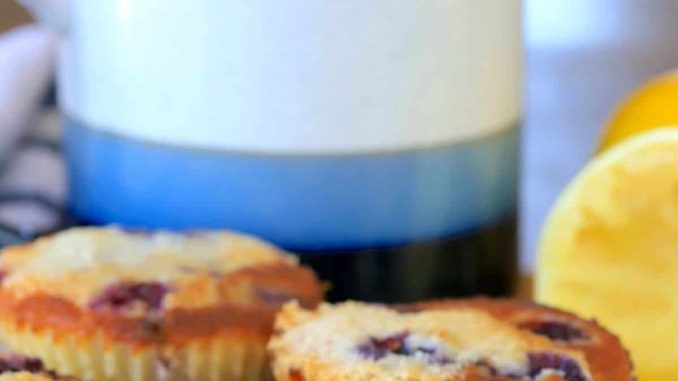 AIR FRYER LOW CARB LEMON BLUEBERRY MUFFINS