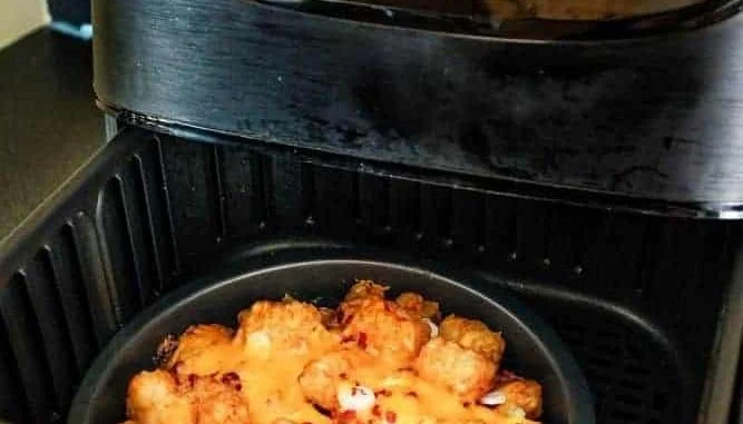 Cosori-Air-Fryer-Review-Everyday Cosori Air Fryer Review