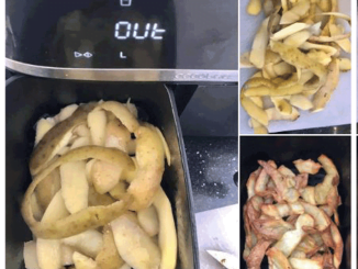 Air Fryer Potato Peels