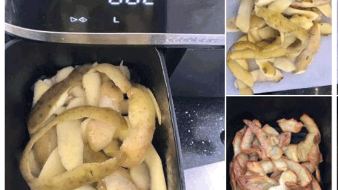 Air Fryer Potato Peels
