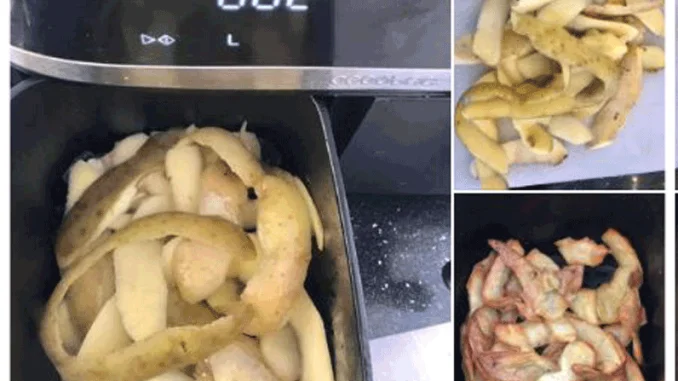 Air Fryer Potato Peels